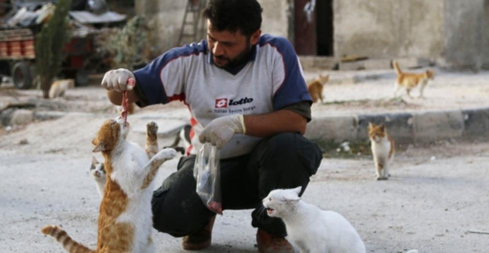 Motorista cuida y alimenta gatos abandonados por bombardeos en Siria (FOTOS)