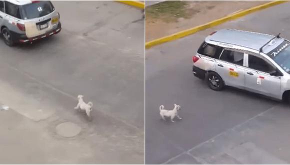 Joven capta el preciso momento en que una familia abandona a su mascota en plena calle (VIDEO)