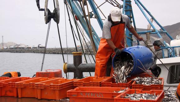 La segunda temporada de pesca de anchoveta en la zona sur del país debe culminar a más tardar el 31 de diciembre del 2021. (Foto: GEC)