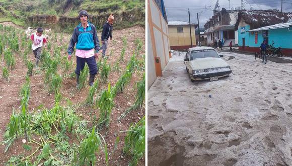 Granizadas afectan cultivos en localidades de Lauricocha y Ambo/ Foto: Correo