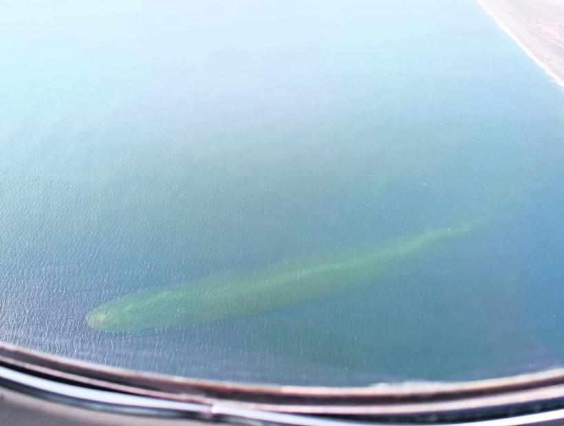 Arica: extraña figura en el océano deja perplejos a turistas bolivianos