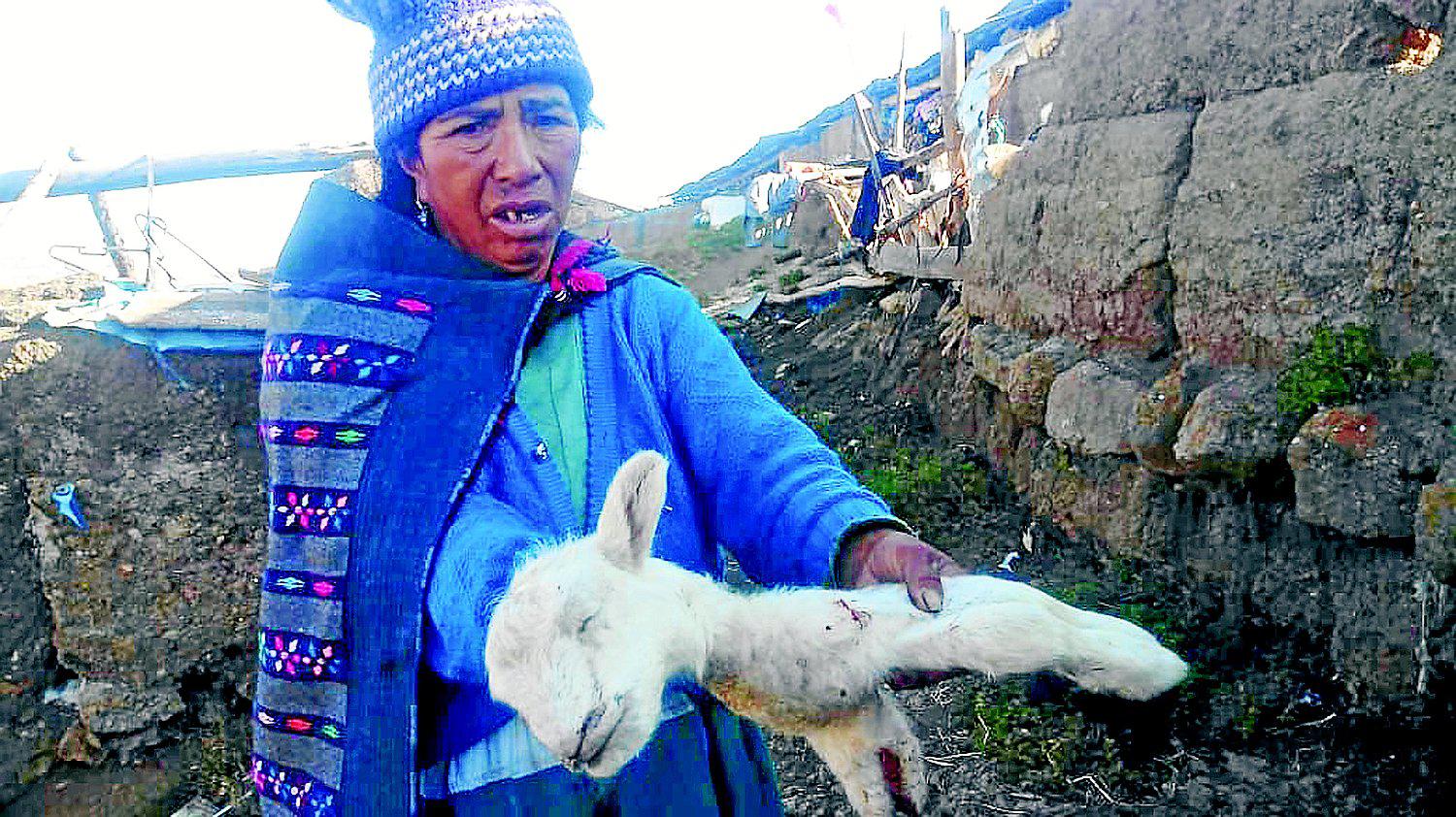 ​Helada que mata en los lugares olvidados