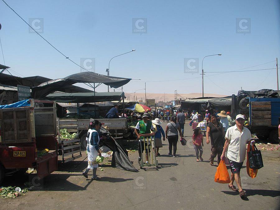Productores de Tacna se trasladan desde junio a La Agronómica