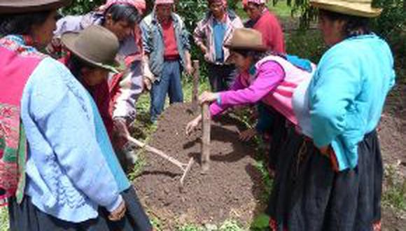 Cusco: Agricultores de hortalizas orgánicas serán proveedores de empresas turísticas