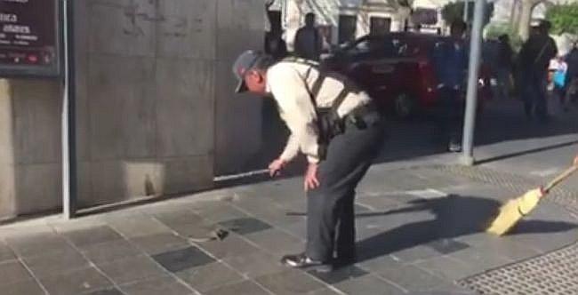 Una rata causó pánico en pleno centro de Arequipa [VIDEO]