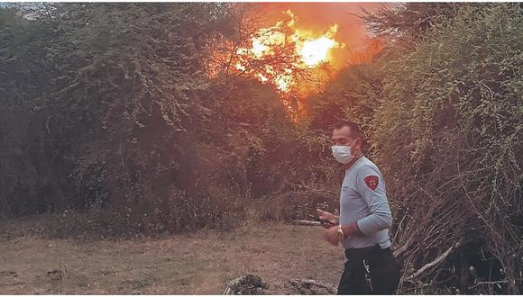 Incendio forestal arrasa con bosques de algarrobos en Jayanca 