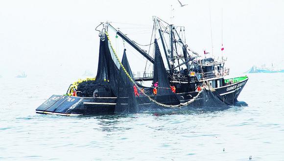 Chimbote: Critican a Produce por cifras de la pesca juvenil