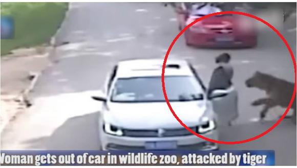 China: Tigre mata a mujer que salió de auto tras discutir con su amiga (VIDEO)