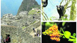 Machupicchu, maravilla histórica y natural 