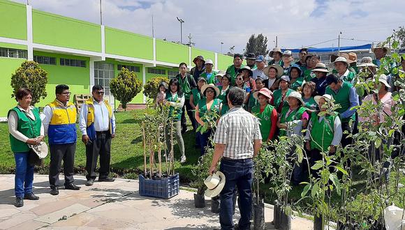 Siembran 60 arboles frutales en estadio de Alto Selva Alegre