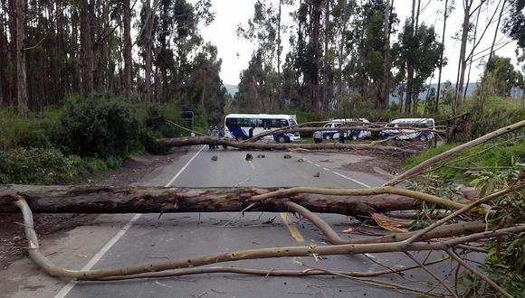 Manifestantes talan árboles pertenecientes a zona intangible en Sacsayhuamán