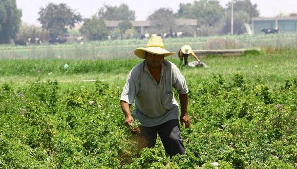 Sociedad Agrícola de Arequipa analizará problemática del agro en Valle de Tambo