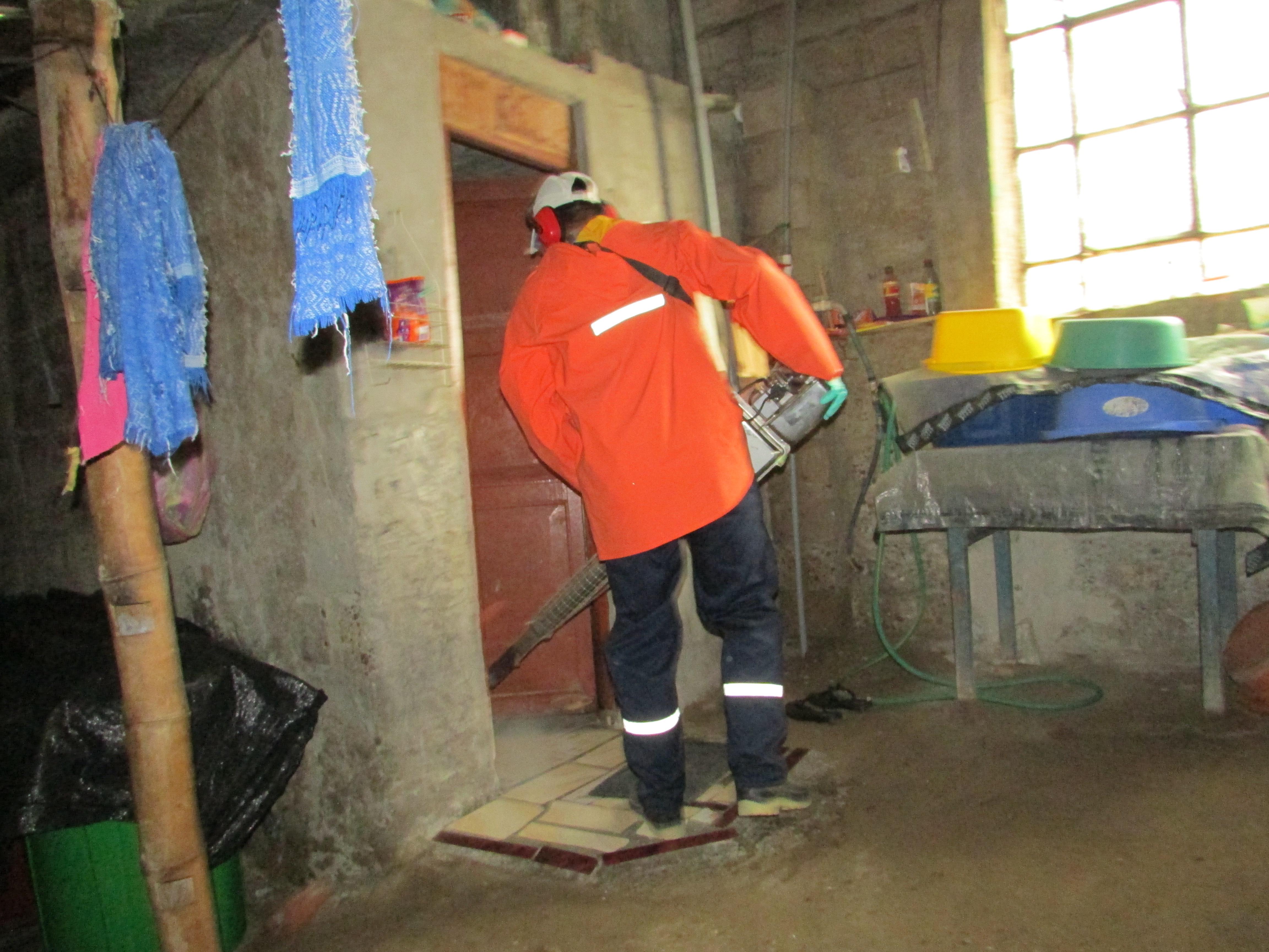 Piura: La Diresa fumiga más de dos mil casas en Castilla 