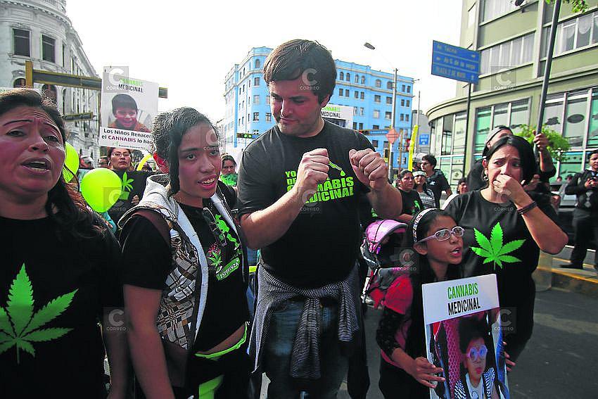 Distribución de cannabis medicinal sería limitada