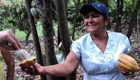 Piura: Premios internacionales de Oro y Plata para chocolates con cacao piurano