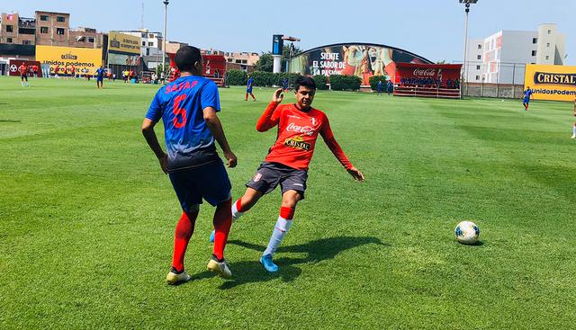 La bicolor integra el grupo B junto a Brasil, Uruguay, Paraguay y Bolivia. (Foto: Safap)