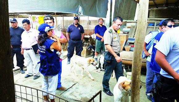 Lambayeque: Clausuran un camal en el distrito de José Leonardo Ortiz