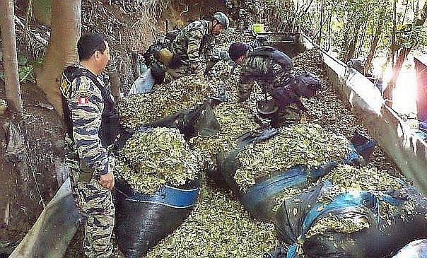 Gobierno erradicó más de 16 mil hectáreas de hoja de coca en la selva central en 2018