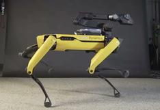 Así es el “perro robot” estadounidense que Ucrania usará para desactivar minas rusas