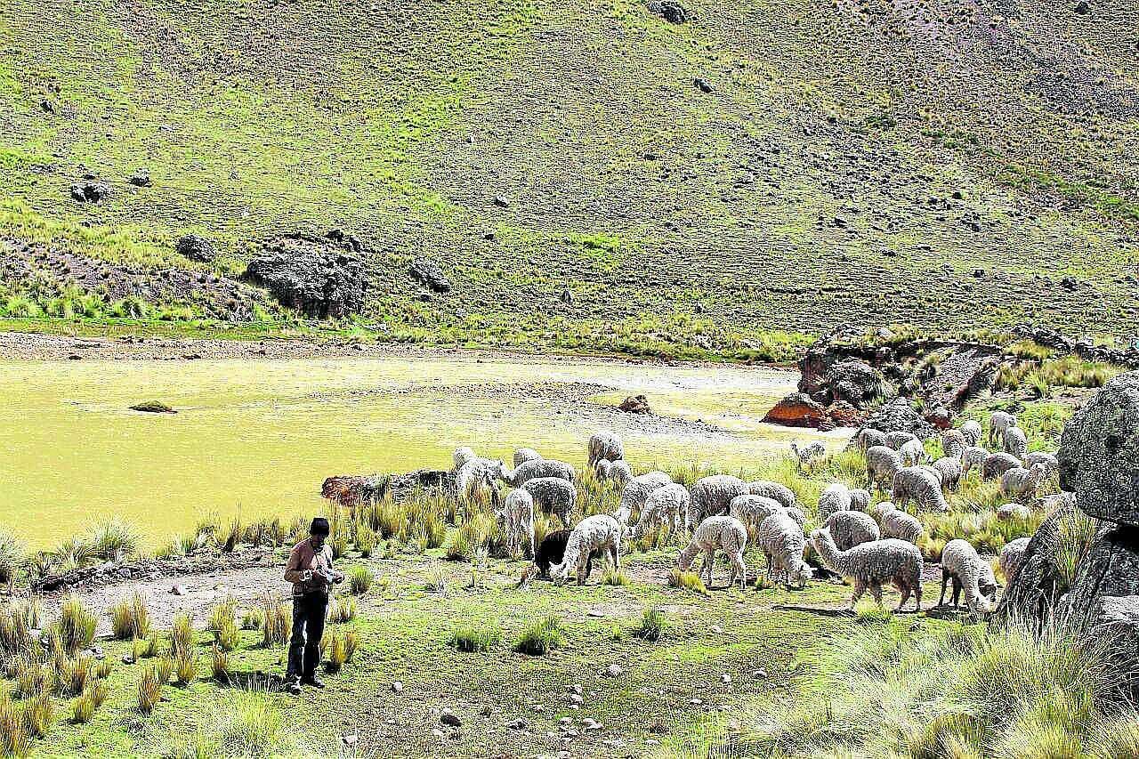 Creciente contaminación en ríos de Lampa y Melgar indignan a población local 