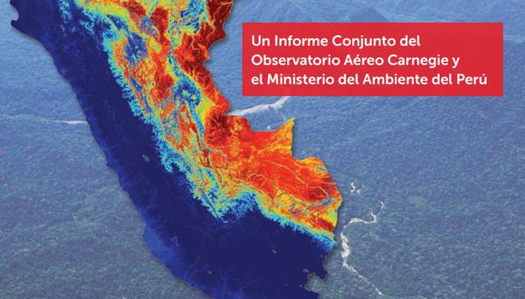 Estiman que stock de carbono sobre suelo del Perú es de 6,9223 petagramos 