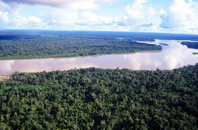 Hoy reconocen al  Amazonas como maravilla natural del mundo