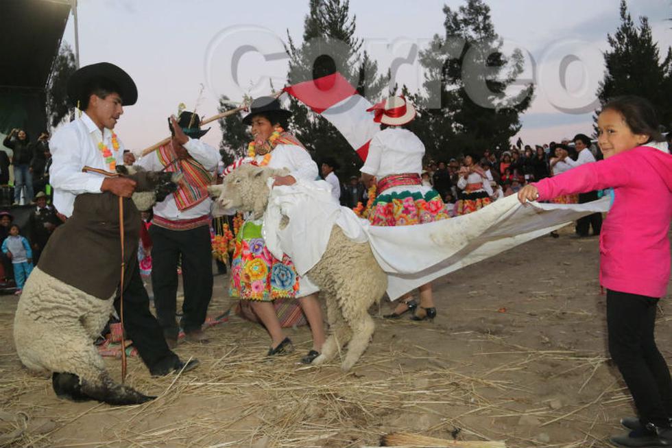 Así celebran humanos y animales en fiesta de Santiago (FOTOS)