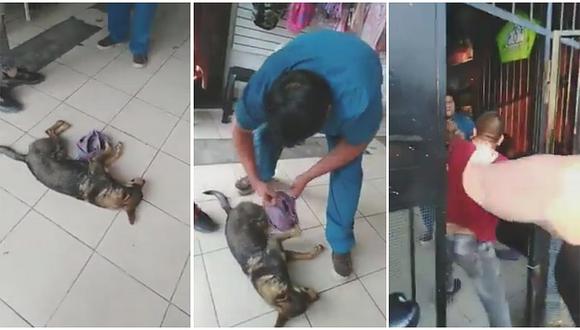 Veterinario y hombre se golpean por atención a perro herido en SMP (VIDEO)