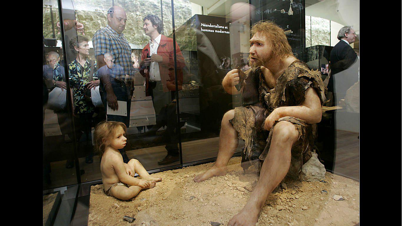 Evolución eliminó genes neandertales del genoma humano