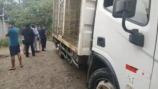 Camión avanza y mata a un bebé de un año en Pichanaqui