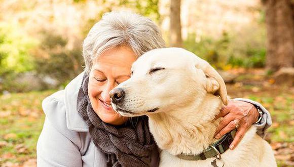 Según CPI, solo el 14% de los perros adoptados son perros seniors o con enfermedades terminales, esto se debe a que existen muchos sesgos y mitos impidiendo la adopción de canes adultos en los albergues.