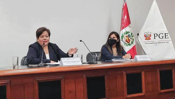 Maria Caruajulca asumió como procurador general del Estado luego de la remoción de Daniel Soria, quien había denunciado al presidente. (Foto: GEC)