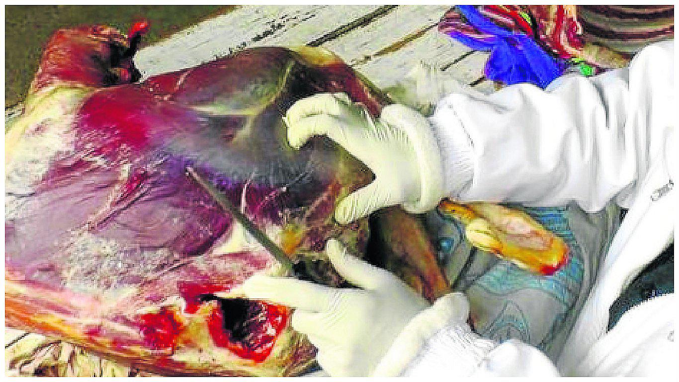 ​En Huancayo elaboran 'charqui' con carne de caballo