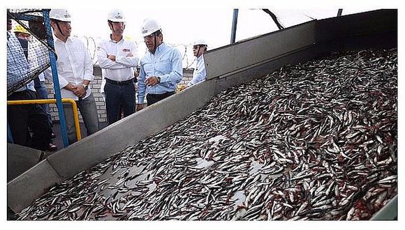 Derecho de pesca representa solo el 27% del aporte de industriales