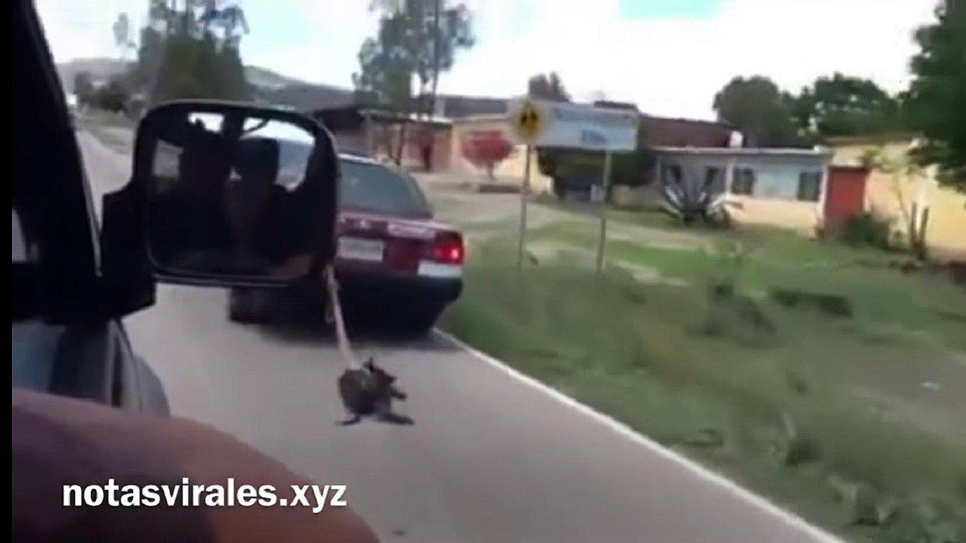 Sujeto amarró a perro a su auto y lo arrastró por varios kilómetros