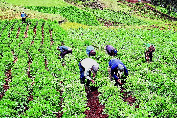 Arma, un proyecto pendiente para ampliar la frontera agrícola de Arequipa