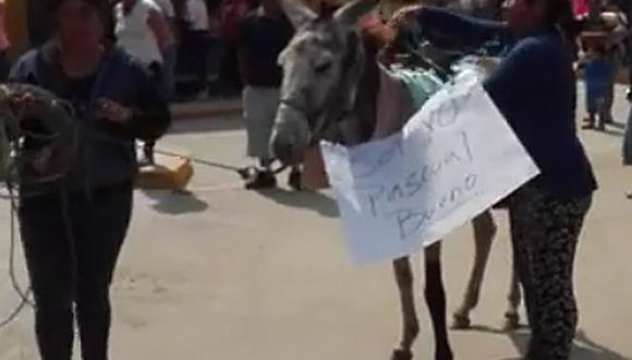 Casa Grande: Comerciantes ambulantes pasean burro con nombre de alcalde Pascual Bueno (VIDEO)