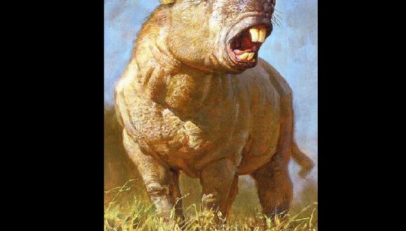 el tigre mas grande del mundo