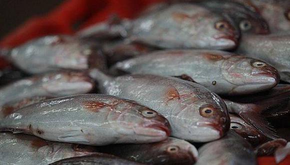 En el caso de pescados, las exportaciones de filete congelado (perico) han logrado cifras relevantes. (Foto: CCL)