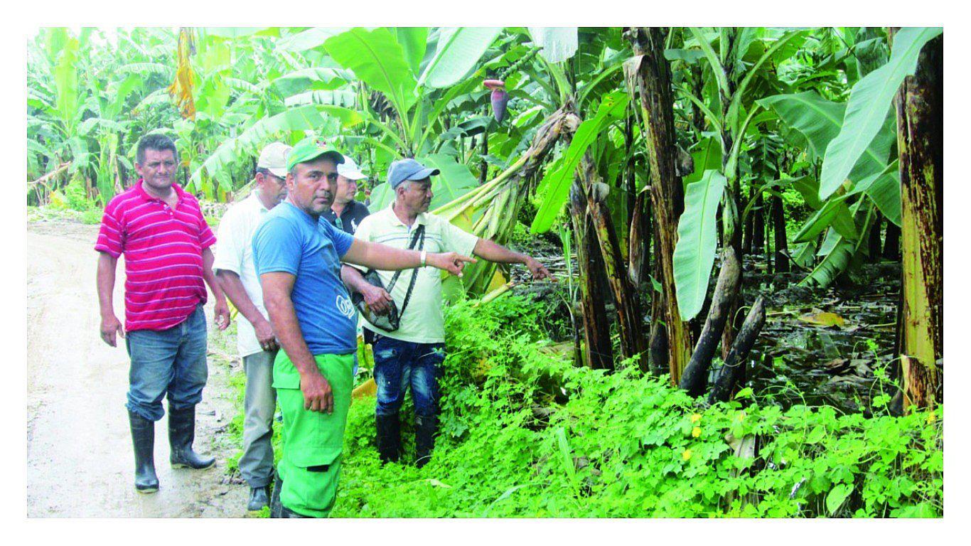 Denuncian la pérdida de fichas técnicas para la entrega del bono agrario