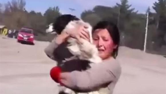 YouTube: Emotivo reencuentro de dueña con su perro tras erupción de volcán Calbuco