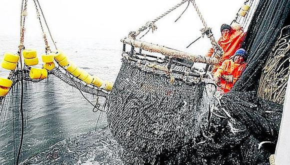 Produce publicará mañana incremento en los derechos de pesca de anchoveta