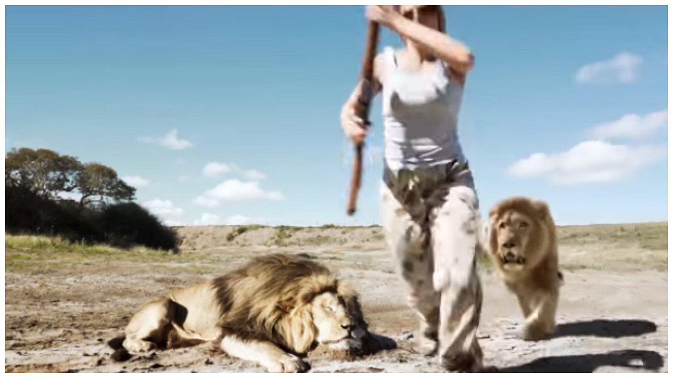 YouTube: Se burlaron de león muerto y otro apareció para "darles su merecido" (VIDEO) 