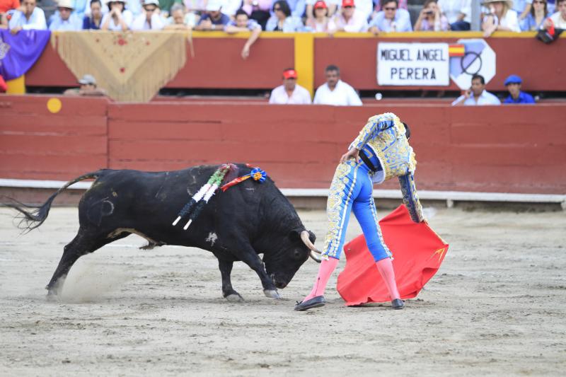 Protestan contra corrida de toros en Sicaya