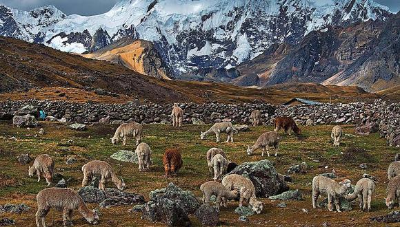 Impulsan la declaración de Áreas de Conservación Regional en Cusco