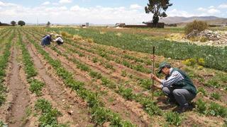 Midagri: Más de 100,000 títulos de productores agrarios estarán inscritos en Sunarp este año