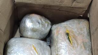 La Libertad: Detienen a joven con 10 kilos de marihuana