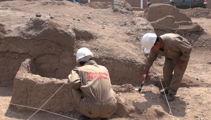 Ica: Hallan fósil de ave gigante que vivió hace 35 millones de años