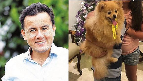 Aparece mascota de hijos de congresista Richard Acuña tras ofrecer recompensa de U$1500 