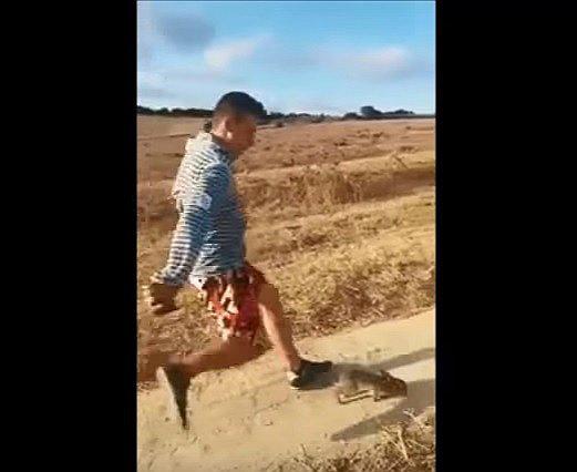 ​Youtube: policía busca a sujeto que pateó a indefenso conejo [VIDEO]